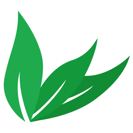 organic-aura-store-9smrl